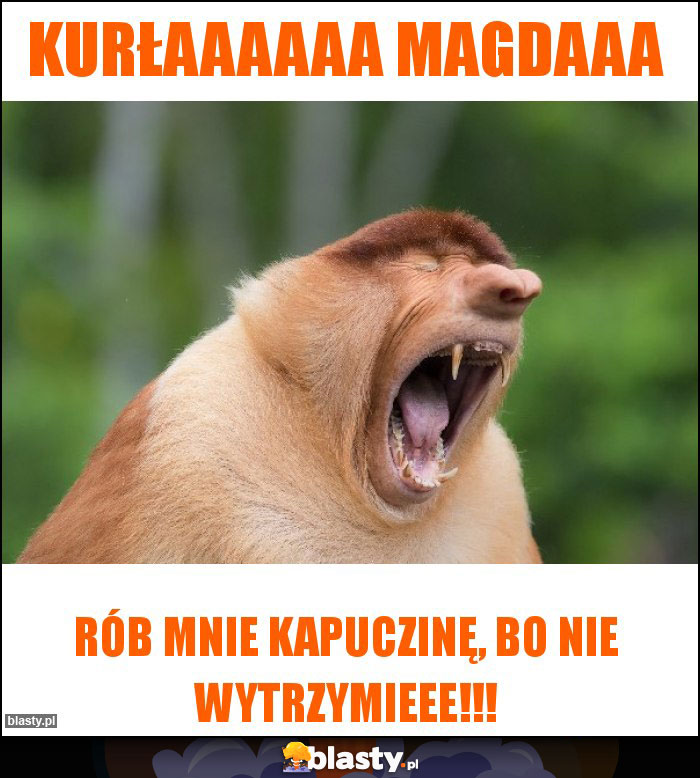 Kurłaaaaaa Magdaaa