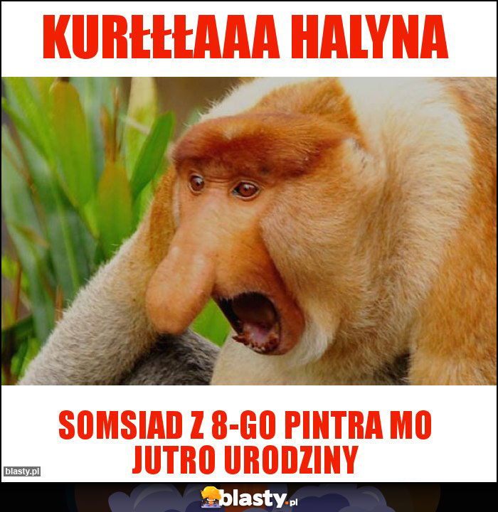 Kurłłłaaa halyna