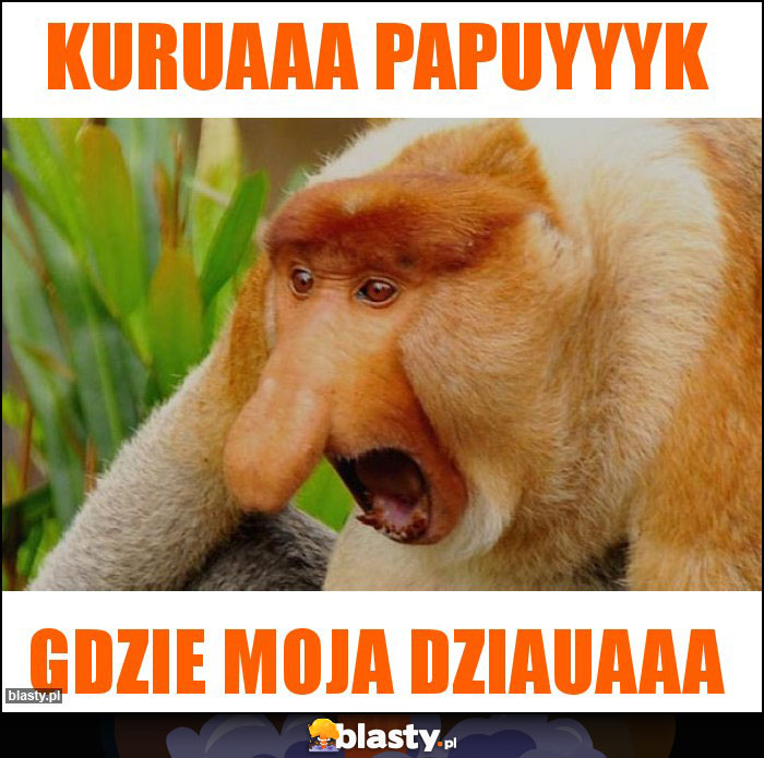 Kuruaaa Papuyyyk