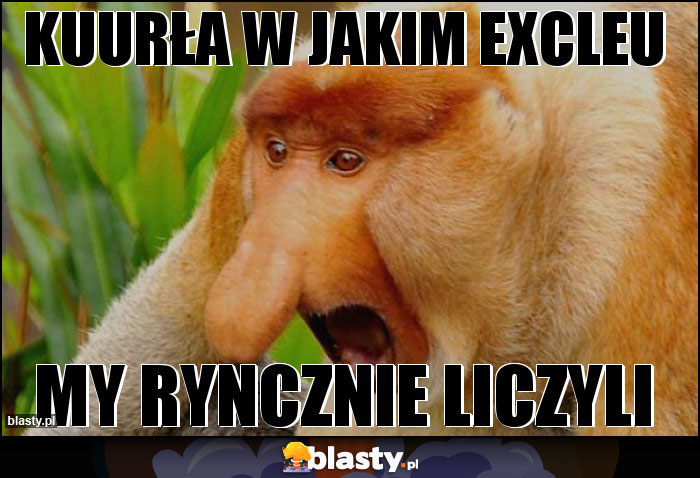 Kuurła w jakim excleu