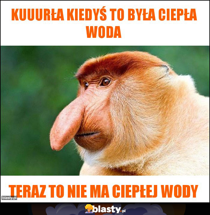 kuuurła kiedyś to była ciepła woda