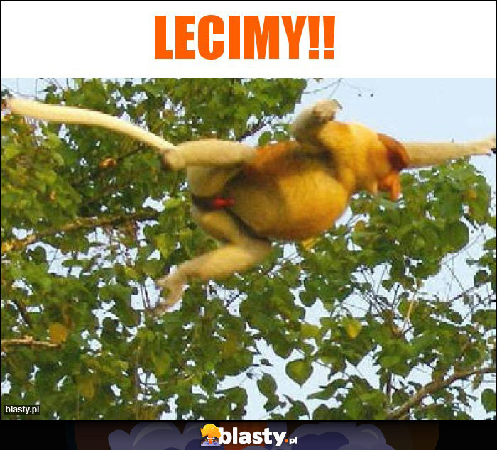 Lecimy!!