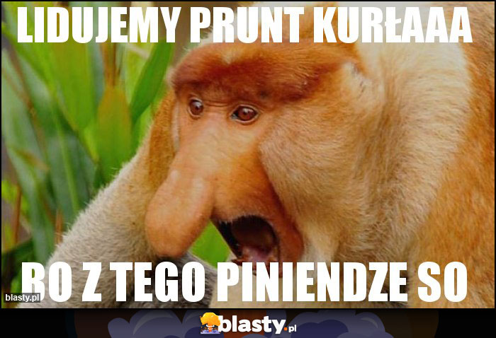 Lidujemy prunt kurłaaa