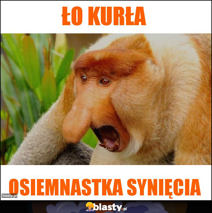 Ło Kurła