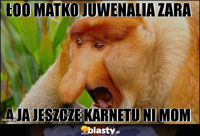 ŁOO MATKO JUWENALIA ZARA