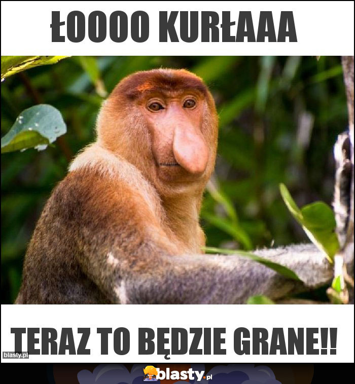 ŁOOOO KURŁAAA