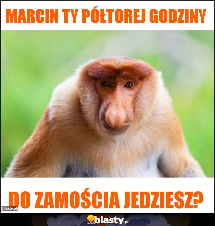 Marcin ty półtorej godziny