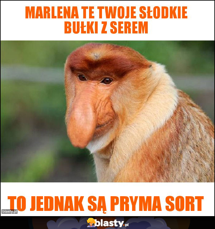 Marlena te twoje słodkie bułki z serem