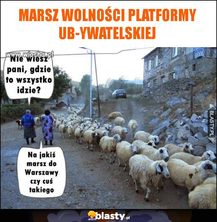 marsz wolności platformy ub-ywatelskiej