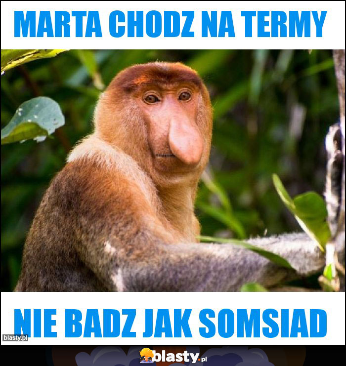 Marta chodz na termy