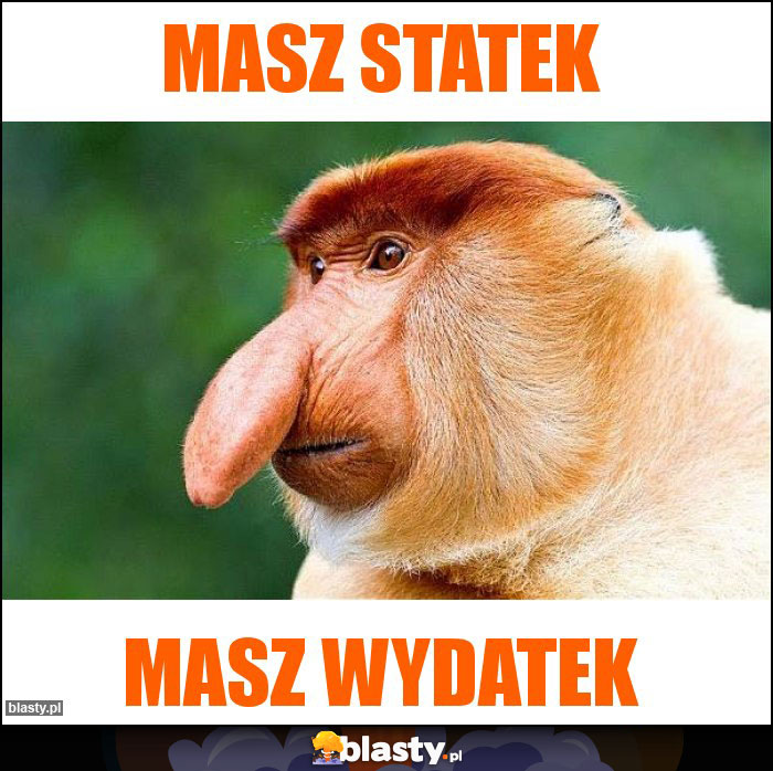 Masz statek