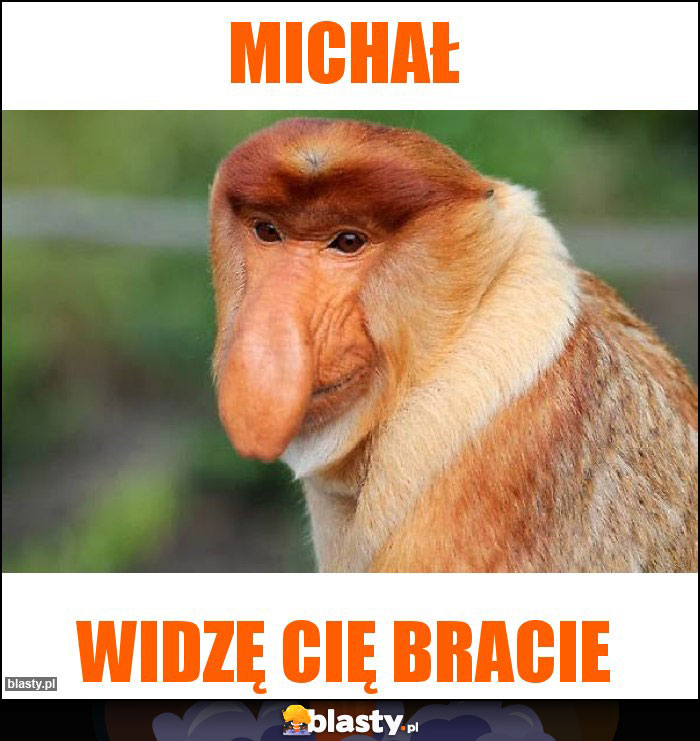 Michał