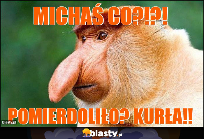 MICHAŚ CO?!?!