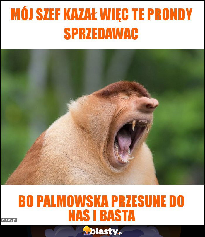 Mój Szef kazał więc te prondy sprzedawac