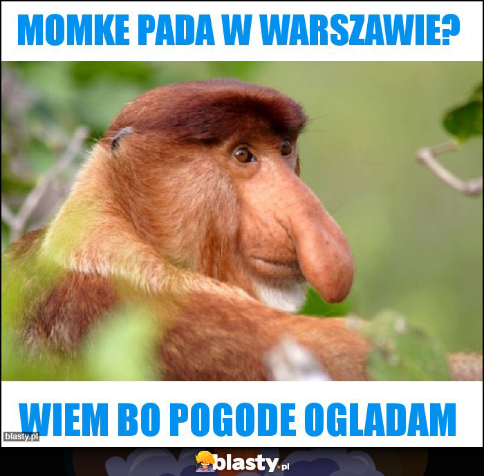 MOMKE pada w warszawie?