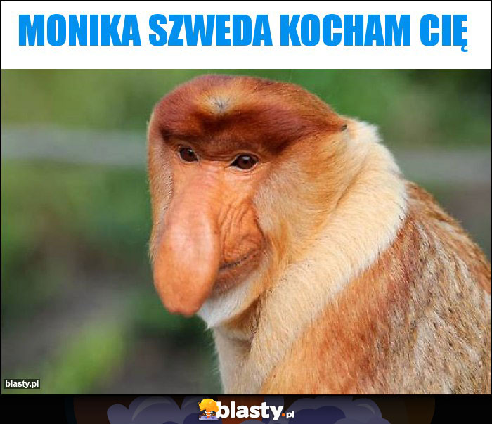 Monika Szweda Kocham Cię