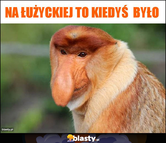 NA ŁUŻYCKIEJ TO KIEDYŚ  BYŁO