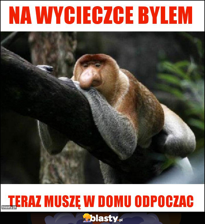 Na wycieczce bylem