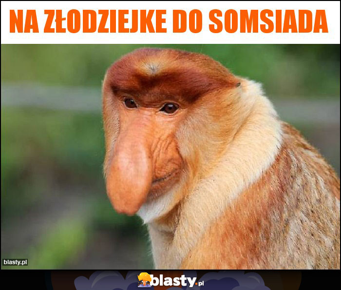 Na złodziejke do somsiada