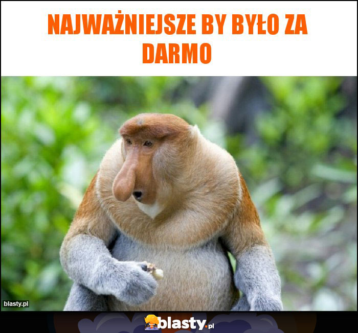 Najważniejsze by było za darmo