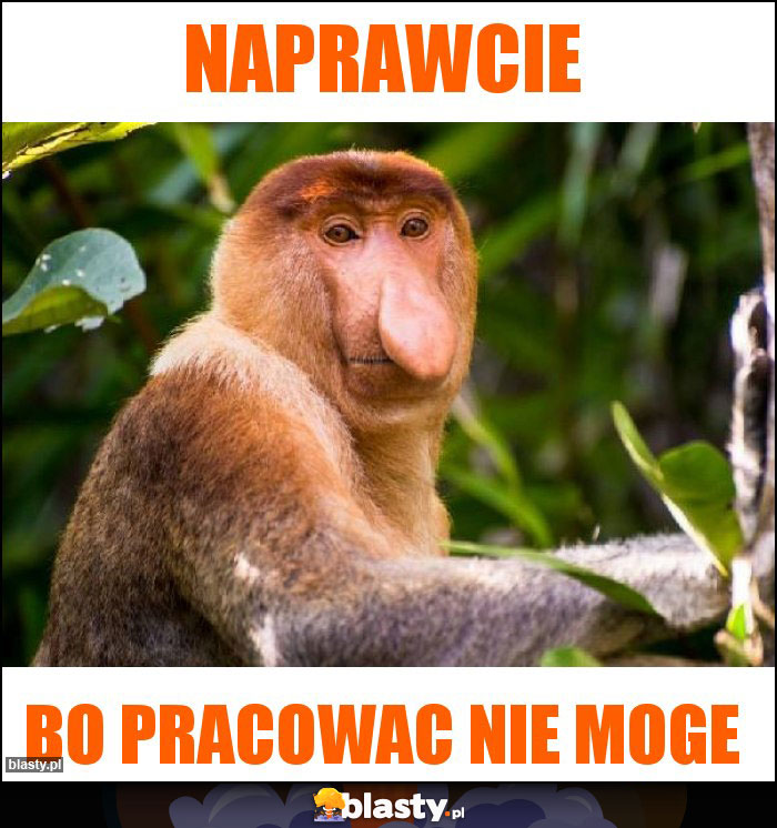 NAPRAWCIE