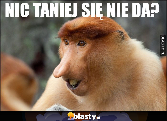 Nic taniej się nie da?