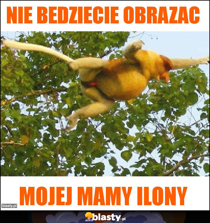 NIE BEDZIECIE OBRAZAC