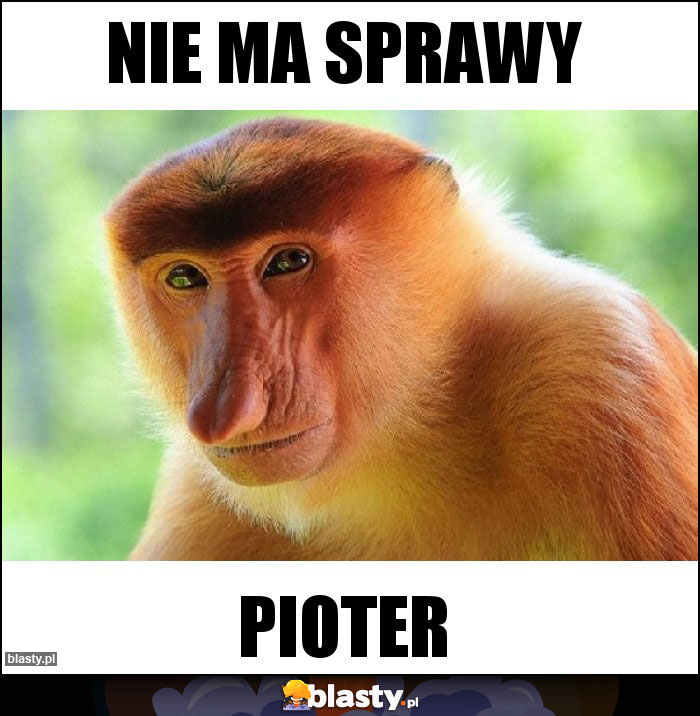 Nie ma sprawy