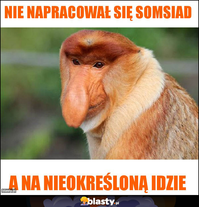 nie napracował się somsiad