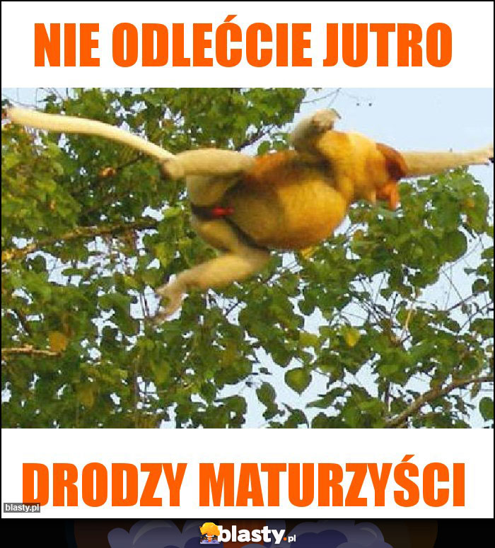 Nie odlećcie jutro