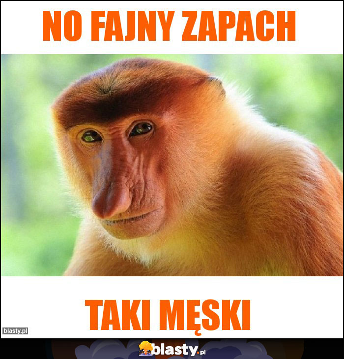 no fajny zapach