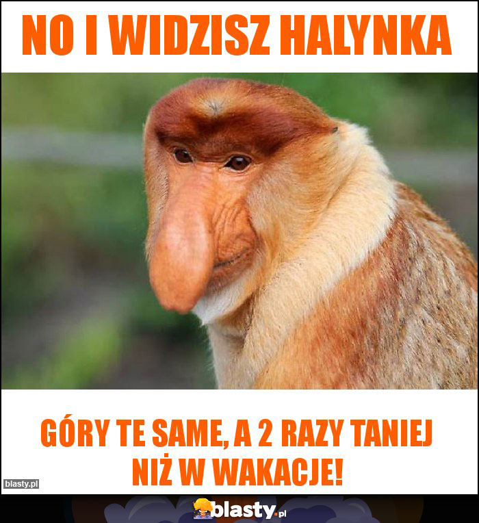 No i widzisz Halynka