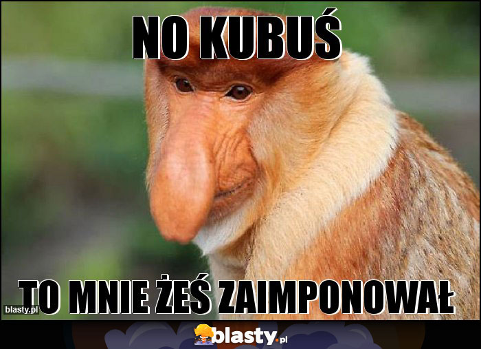 No kubuś