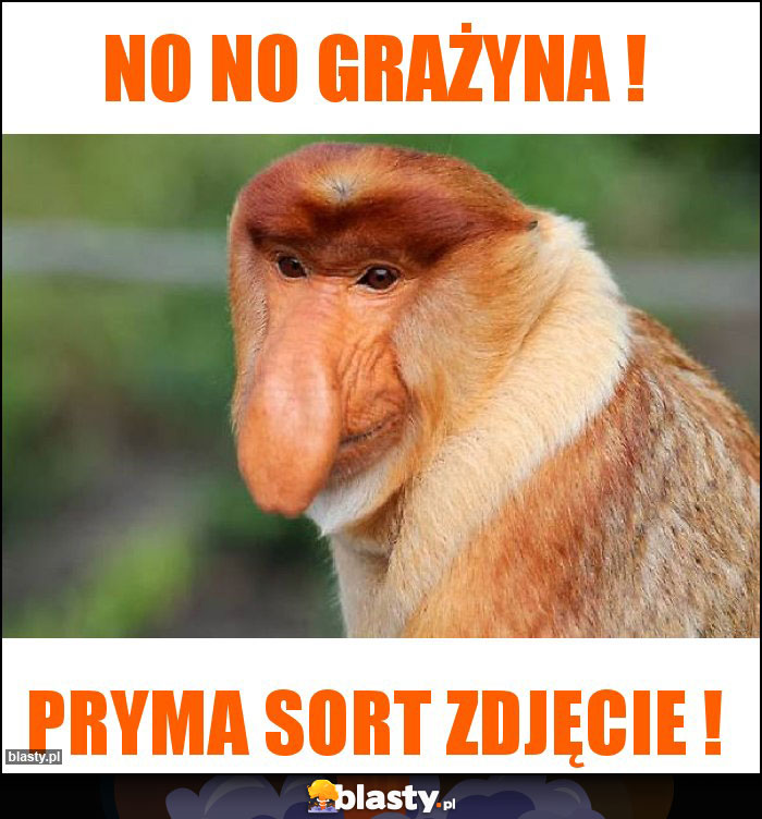 NO NO GRAŻYNA !