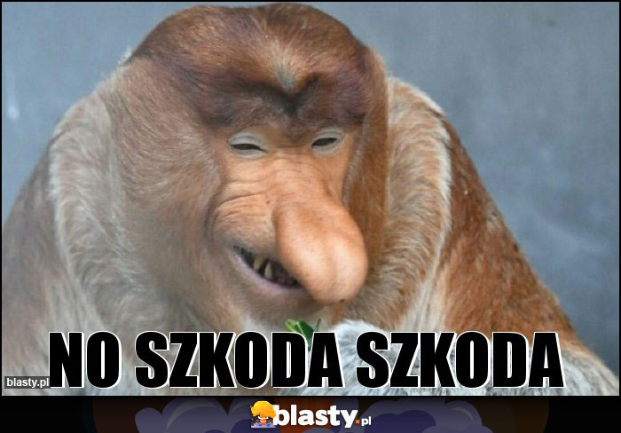 NO SZKODA SZKODA