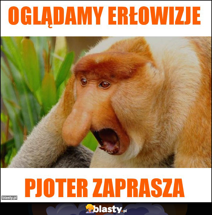 Oglądamy ERŁOWIZJE