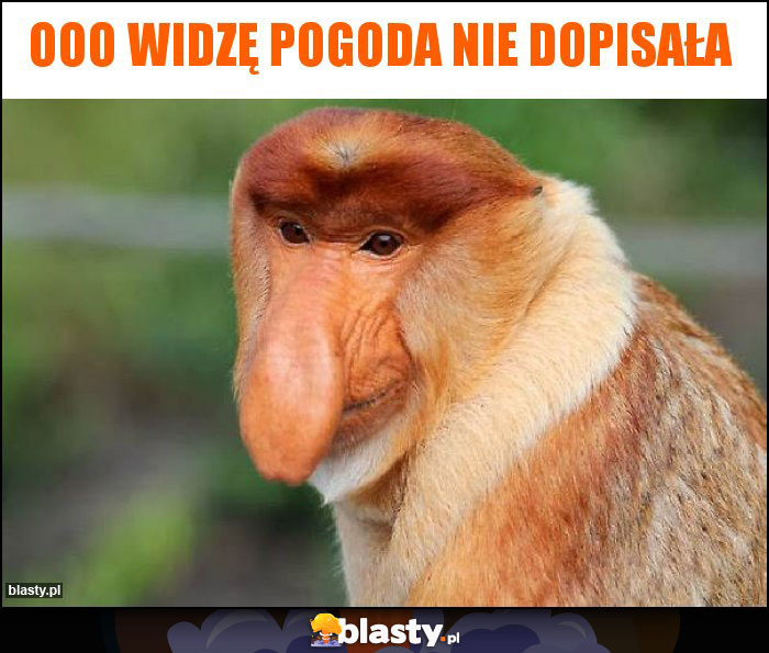 Ooo widzę pogoda nie dopisała