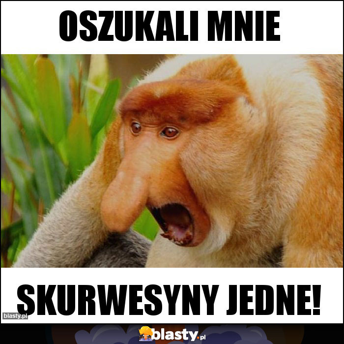 Oszukali mnie