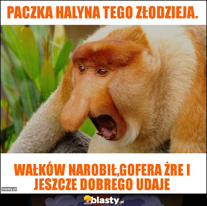 Paczka Halyna tego złodzieja.