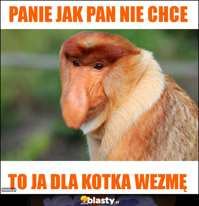 Panie jak Pan nie chce