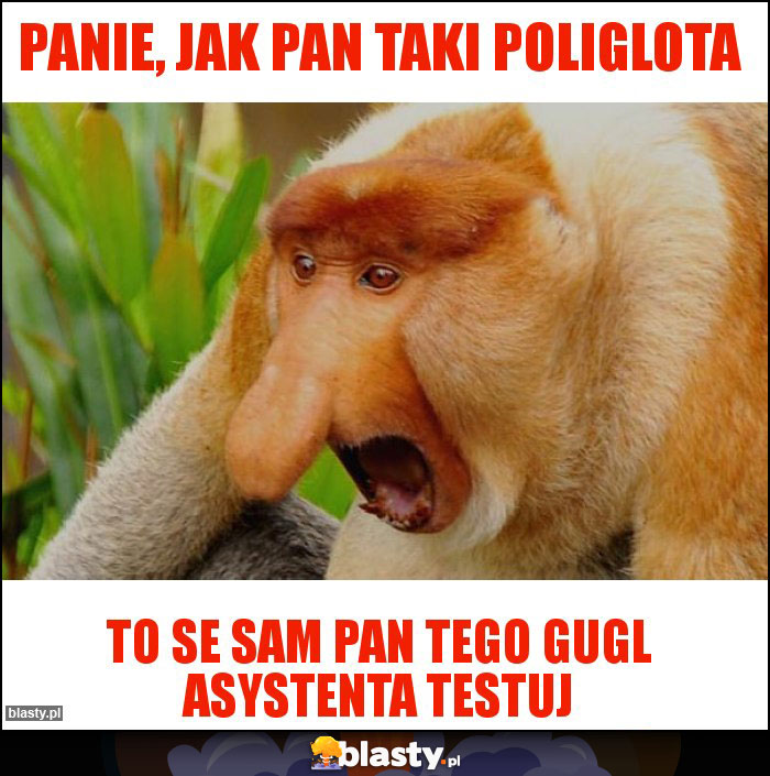 Panie, jak pan taki poliglota