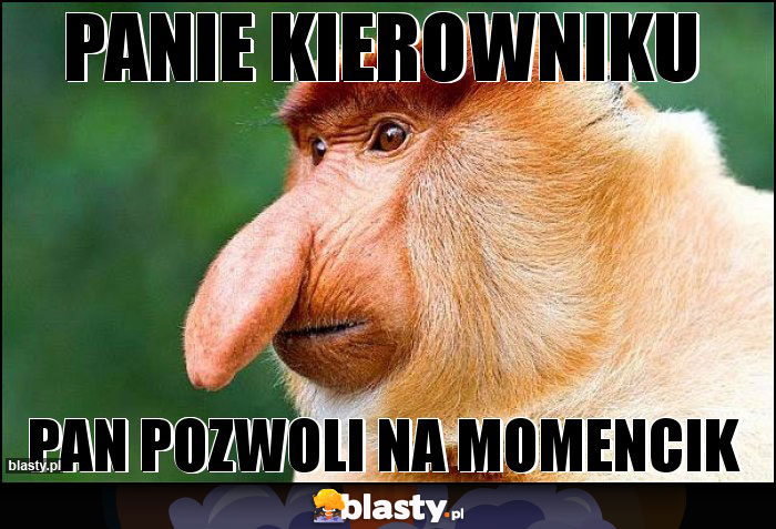 Panie Kierowniku