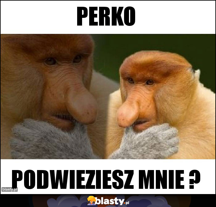 Perko