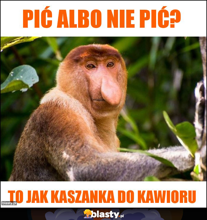 Pić albo nie pić?