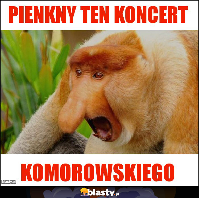 Pienkny ten koncert