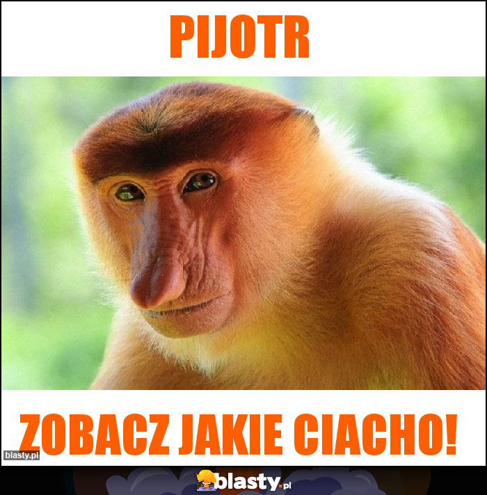 Pijotr