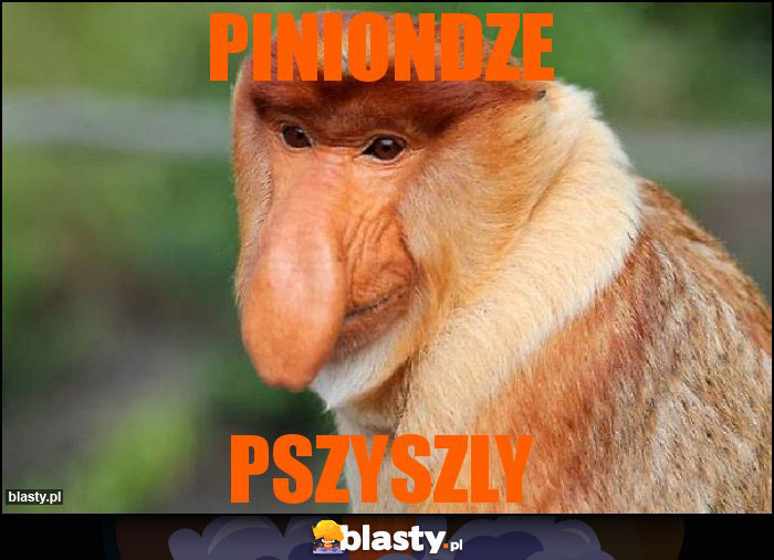 piniondze