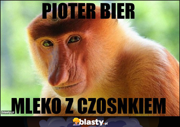 pioter bier