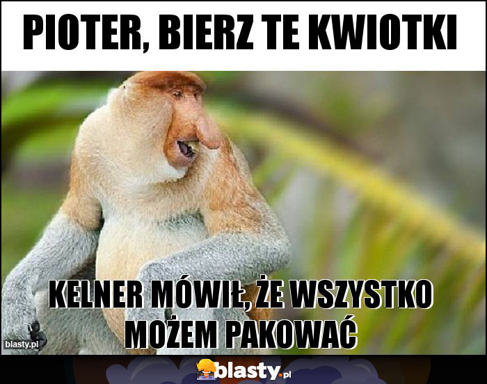 Pioter, bierz te kwiotki