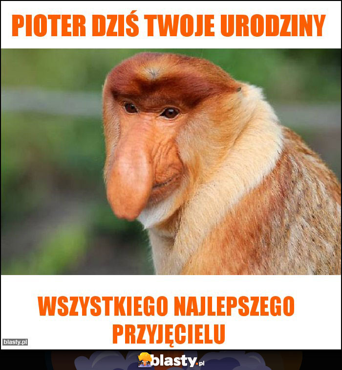 Pioter dziś twoje urodziny